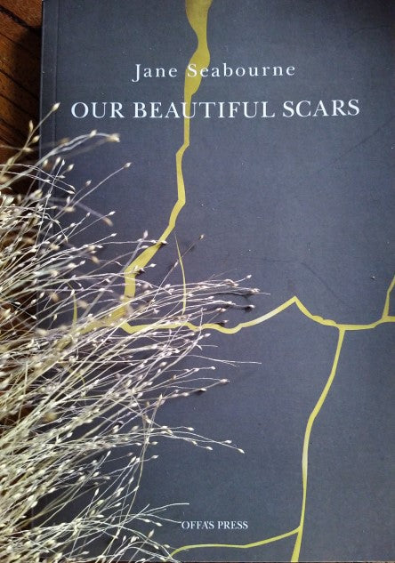 "Our Beautiful Scars" by Jane Seabourne (English Edition)