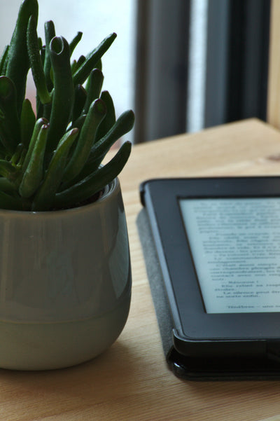 How to publish your book on Kindle - a guide with tips and tricks