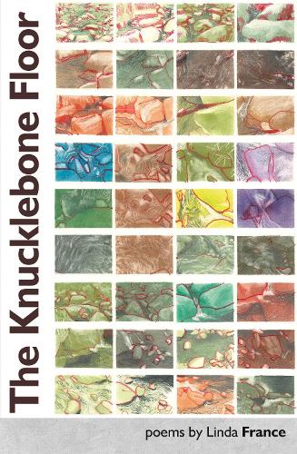 "The Knucklebone Floor" by Linda France (English Edition)