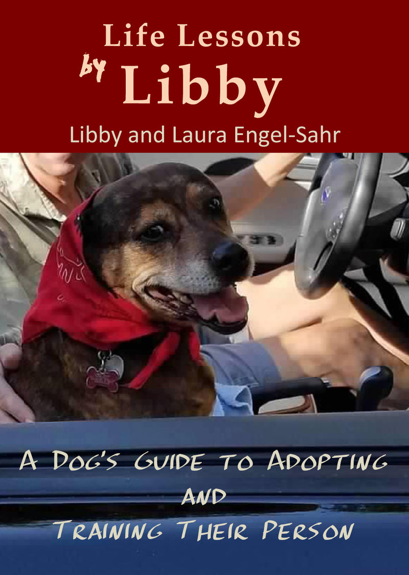 "Life Lessons by Libby" by Libby and Laura Engel-Sahr (English Edition)