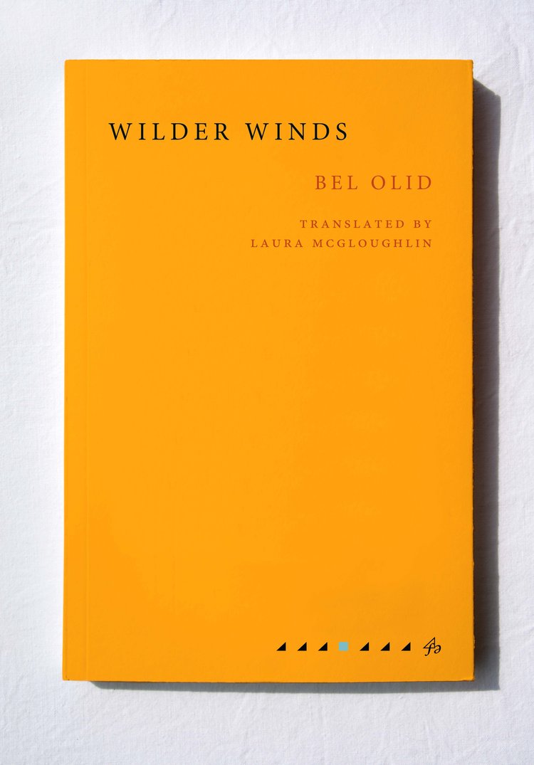 "Wilder Winds" by Bel Olid (English Edition)