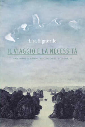 "Il viaggio e la necessità" di Lisa Signorile (Italian Edition)