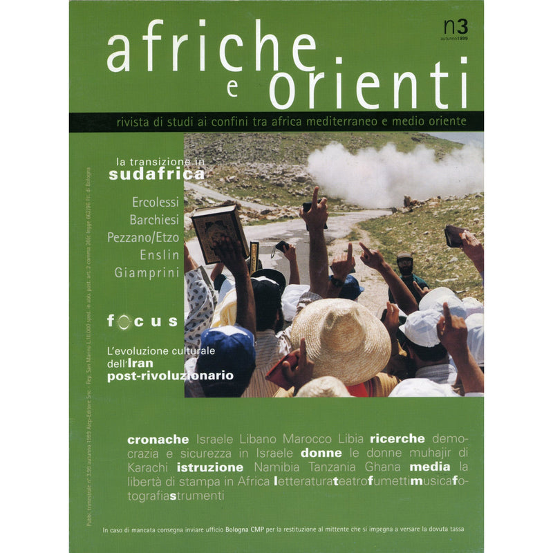 "La transizione in Sudafrica" a cura di Cristina Ercolessi (Italian Edition)
